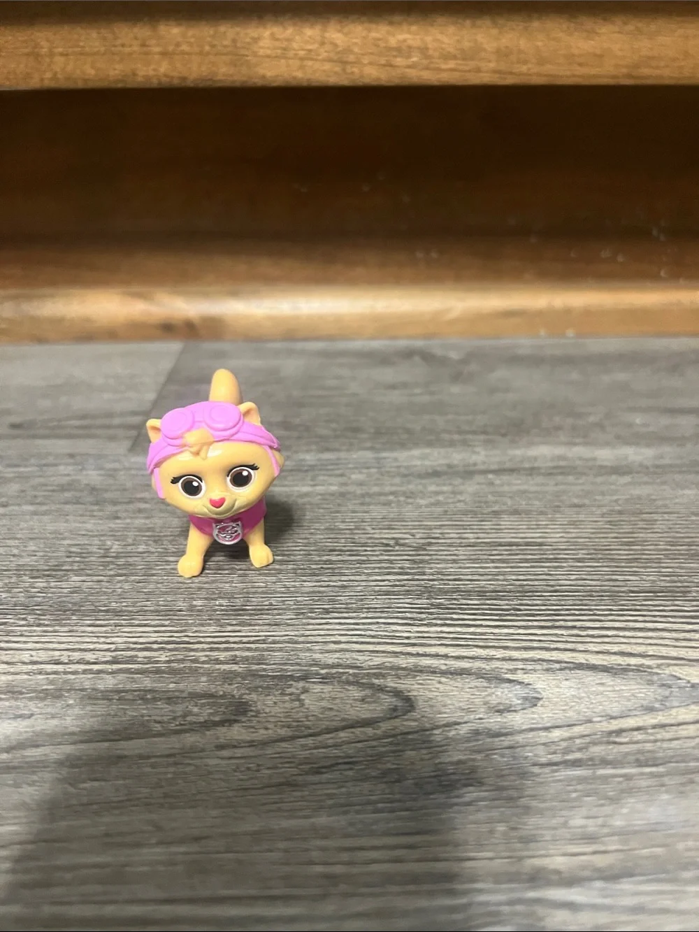 Paw Patrol Kitties - Picture 2 of 5